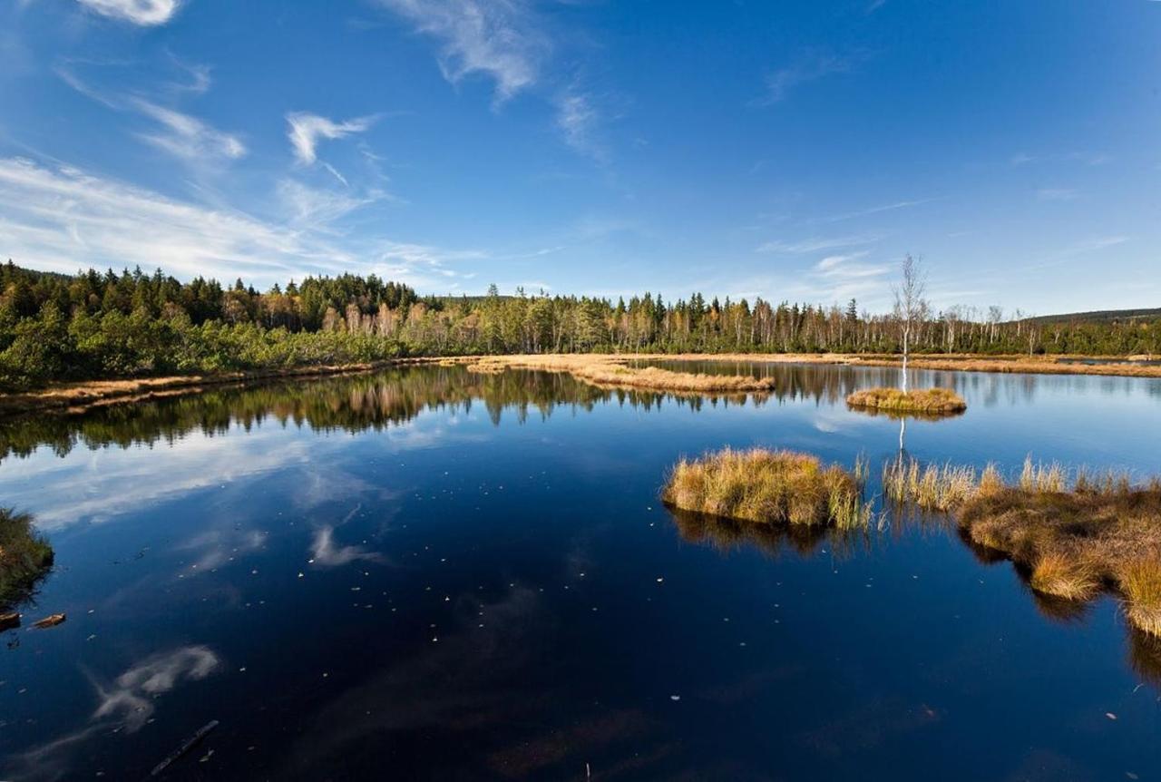 Sumava Hotel 4*