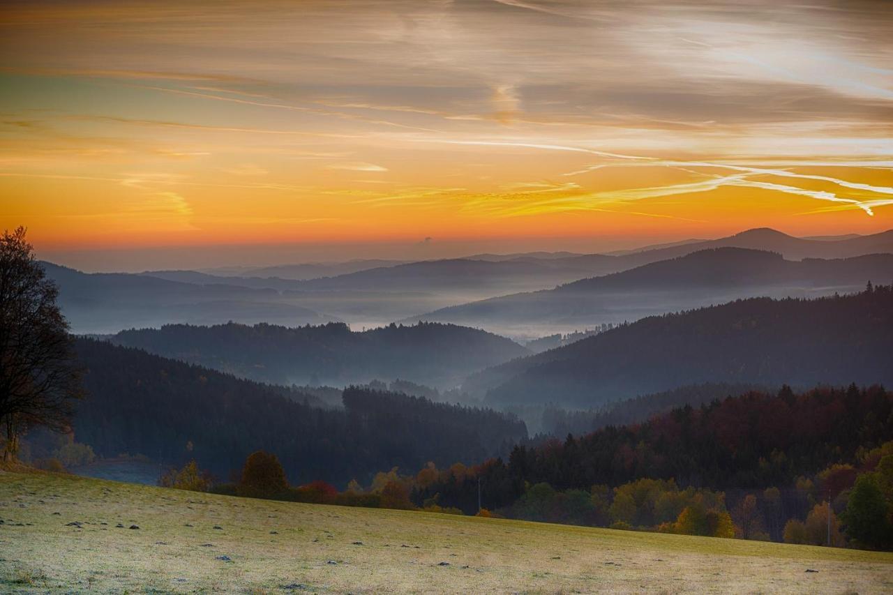 Hotel Sumava 4*